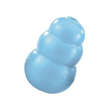 kong pyppy 2.jpg