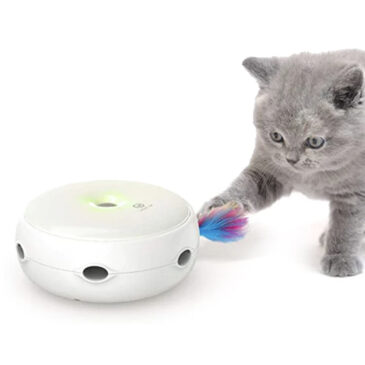 צלחת אינטרקטיבית