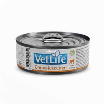 שימורים לחתול וט לייף קונבלסנס