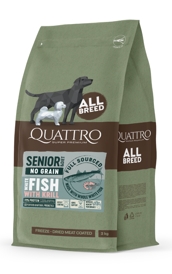 Q20all20breed20senior20fish20580x923px.png
