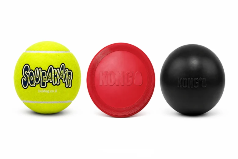 kong active toy