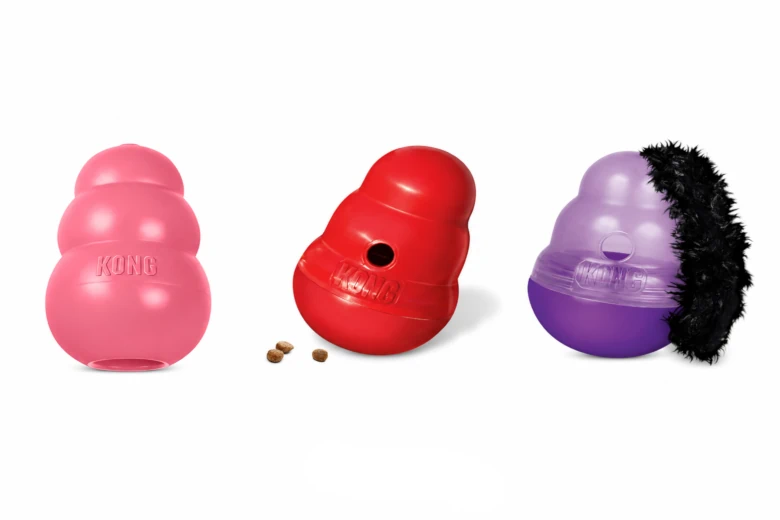 kong dispenser toy