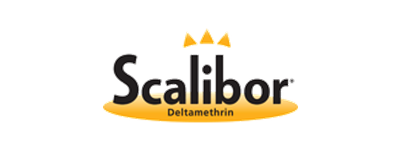 סקאליבור - Scalibor