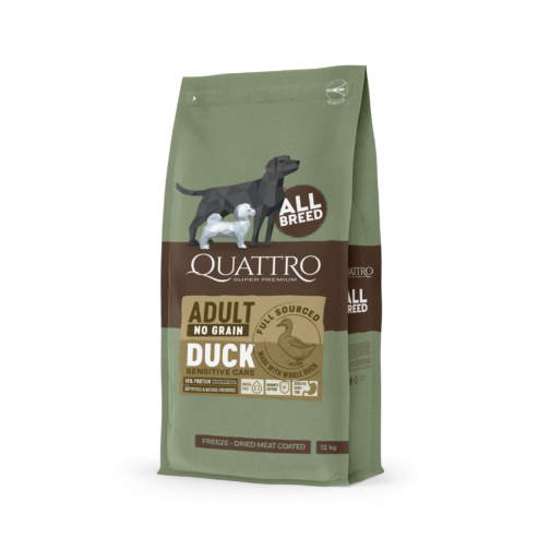 quattro duck square