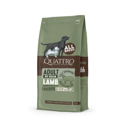 quattro lamb square