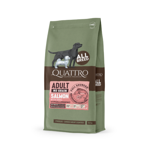 quattro salmon square
