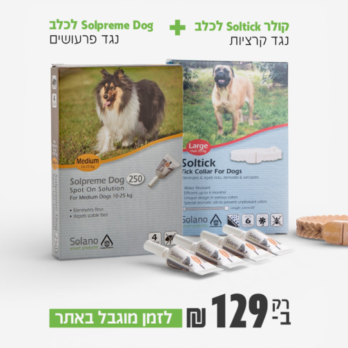 מבצע באתר 129 1