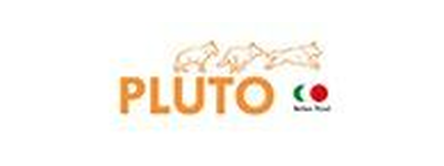 פלוטו - Pluto